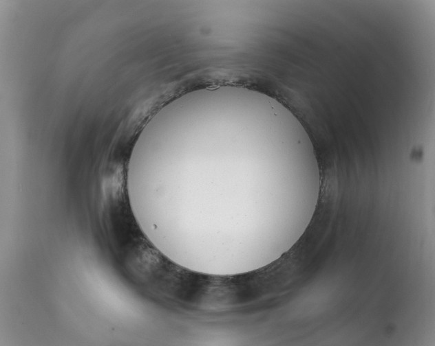 X0000111380335200907241315