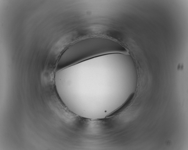 X0000111380336200907241315