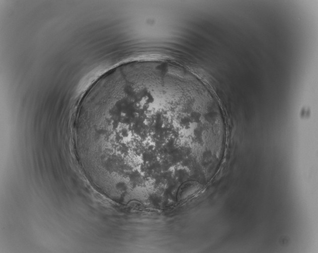 X0000111380337200907241314