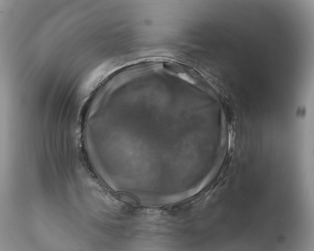 X0000111380339200907241314