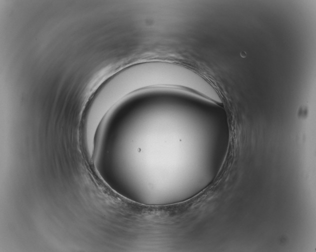 X0000111380340200907241314