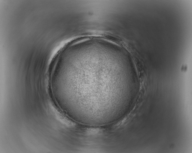 X0000111380342200907241315