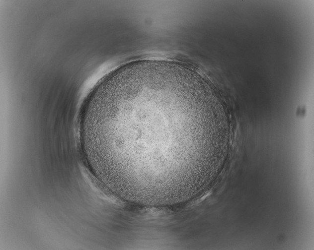 X0000111380343200907241315