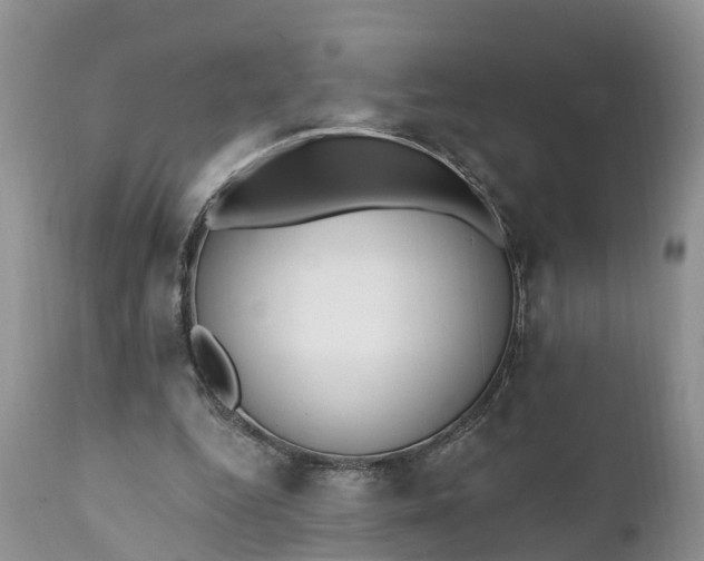 X0000111380344200907241315