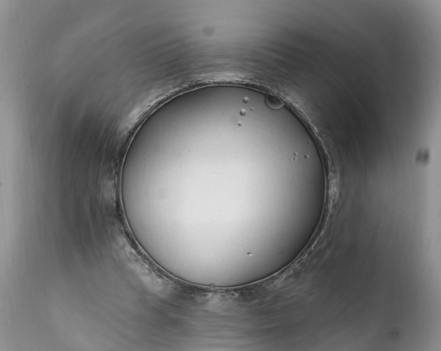 X0000111380345200907241315