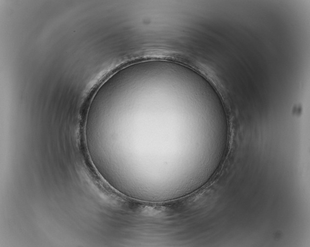 X0000111380346200907241315