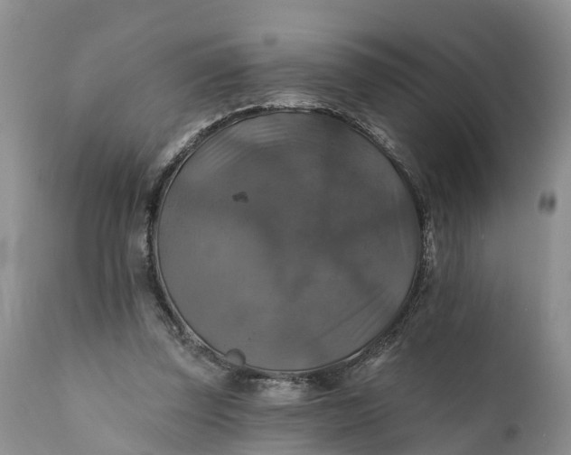 X0000111380347200907241315