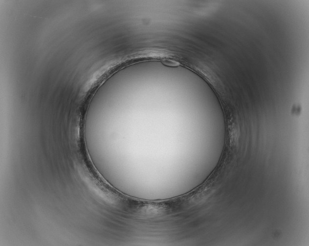 X0000111380350200907241315