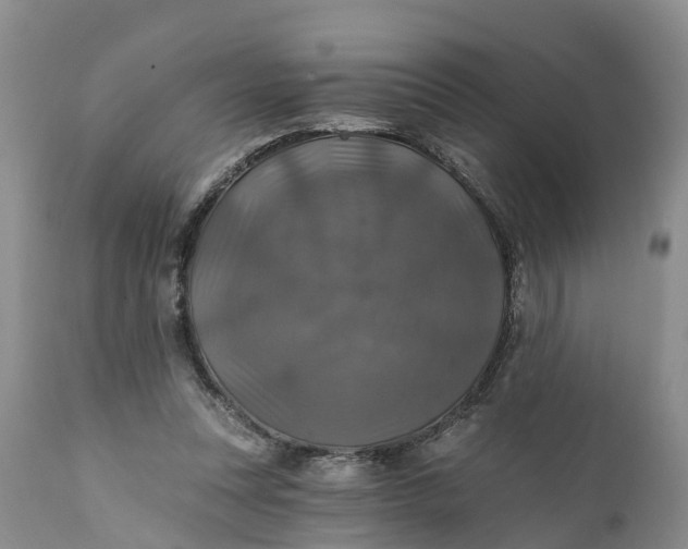 X0000111380351200907241315