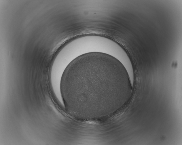 X0000111380352200907241315