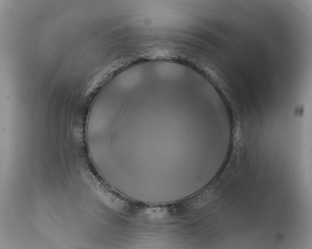 X0000111380353200907241315