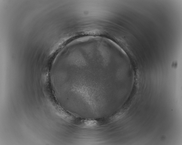 X0000111380355200907241315