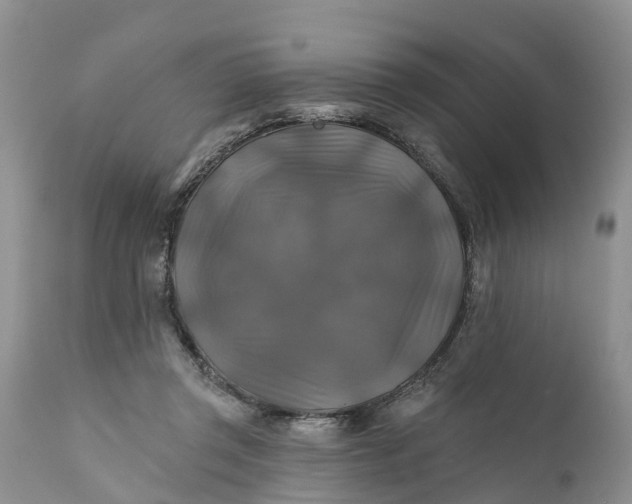 X0000111380357200907241315