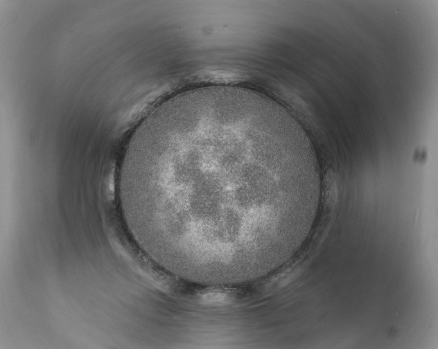 X0000111380358200907241315