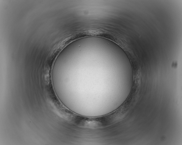 X0000111380360200907241315