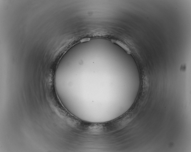 X0000111380362200907241315