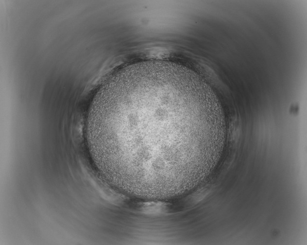 X0000111380363200907241315