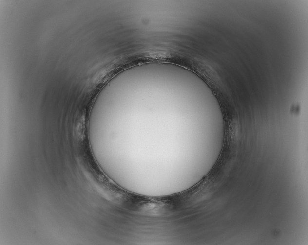 X0000111380364200907241315