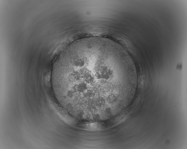 X0000111380365200907241315