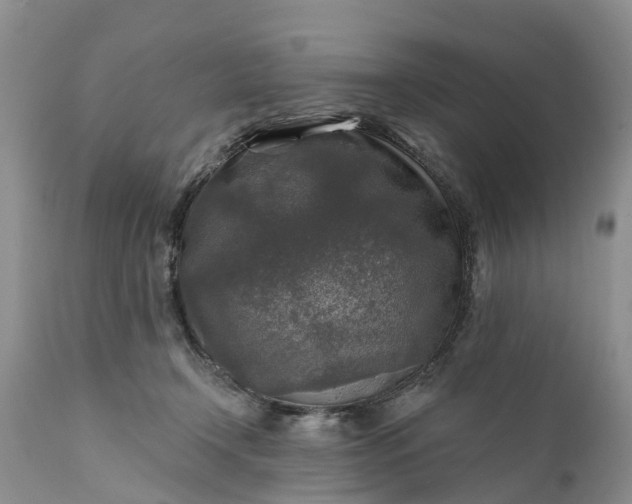 X0000111380366200907241315