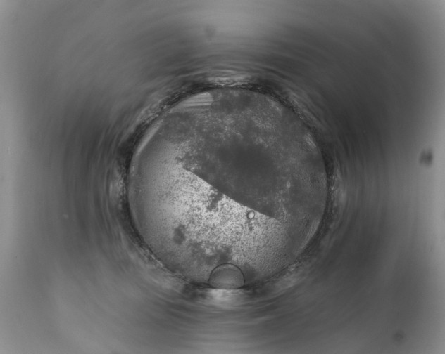 X0000111380371200907241315