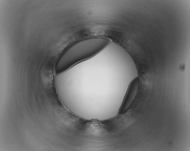 X0000111380372200907241315