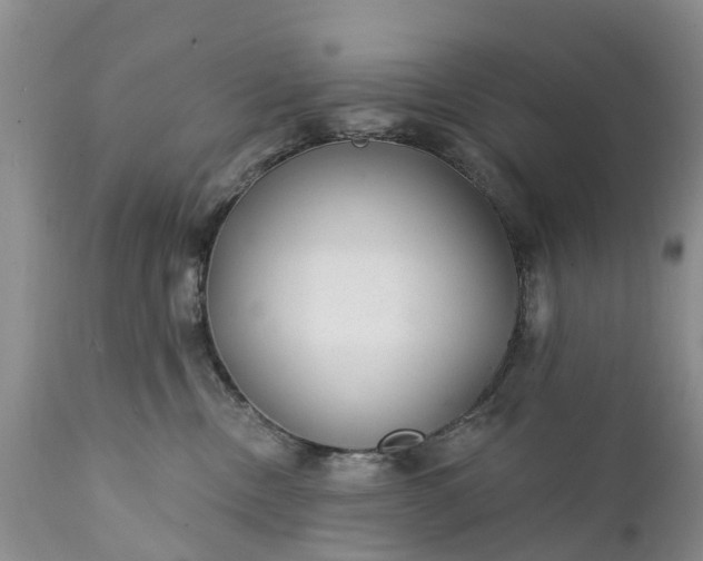 X0000111380378200907241315