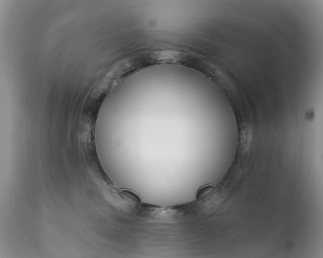 X0000111380379200907241315