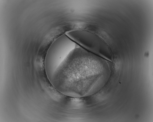 X0000111380380200907241315