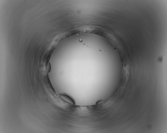 X0000111380381200907241315