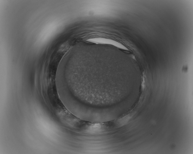 X0000111380382200907241315