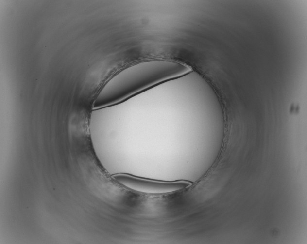 X0000111380384200907241315