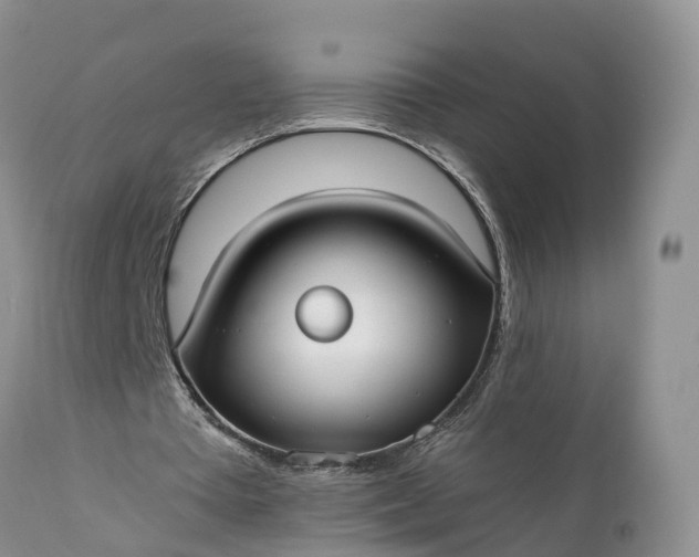 X0000111380385200907241314