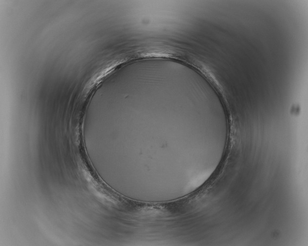 X0000111380386200907241314