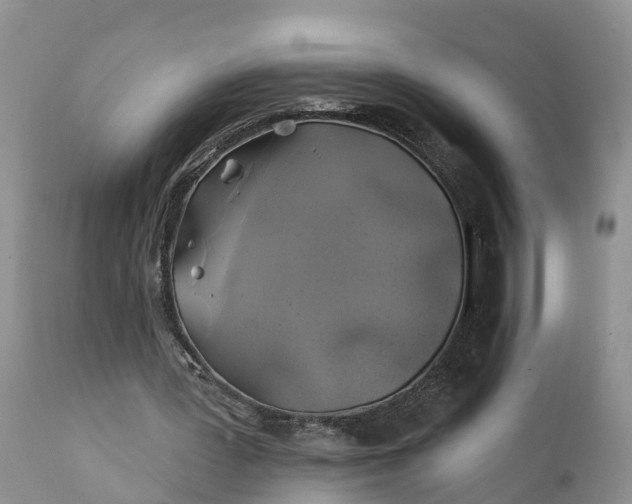 X0000111380387200907241314