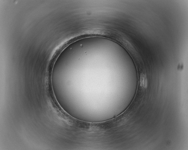 X0000111380388200907241314