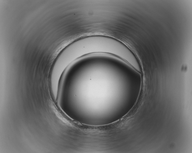 X0000111380389200907241314