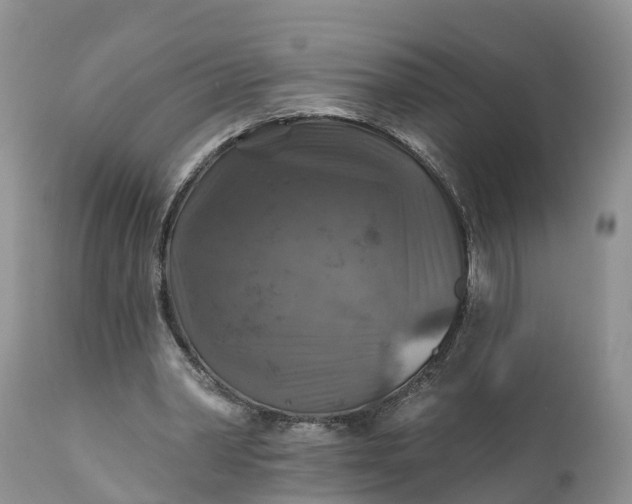 X0000111380390200907241314