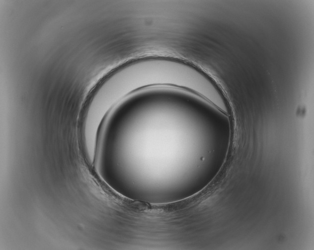 X0000111380391200907241314