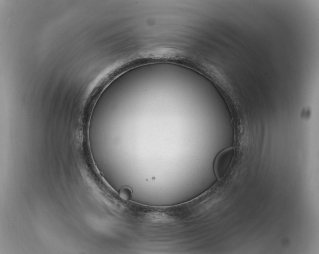 X0000111380392200907241314