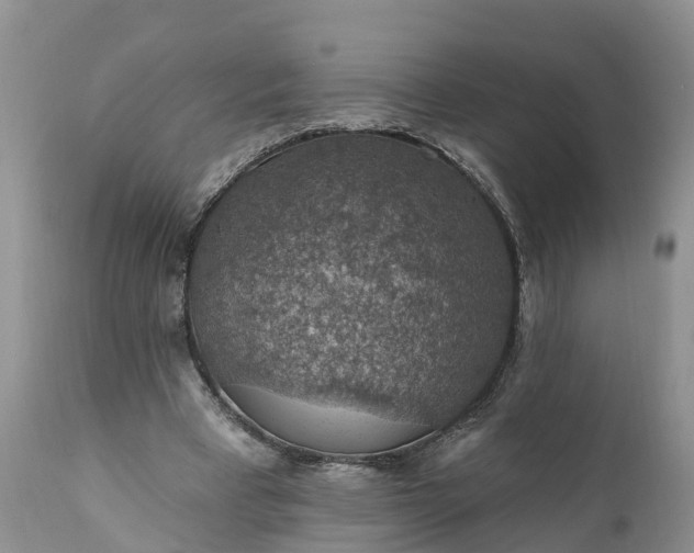 X0000111380393200907241314