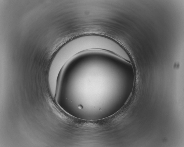 X0000111380397200907241314