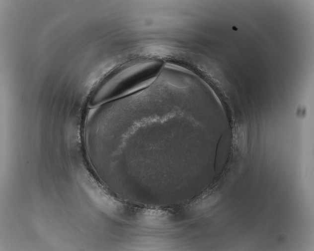 X0000111380399200907241314