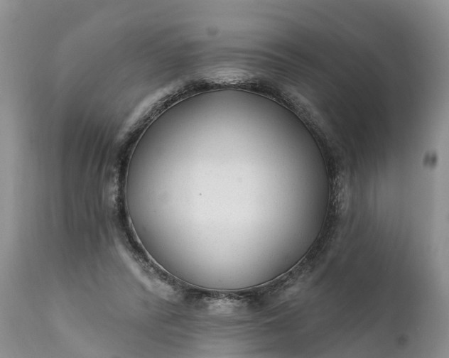 X0000111380400200907241314