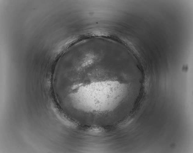 X0000111380402200907241314