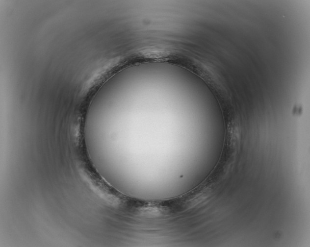 X0000111380404200907241314