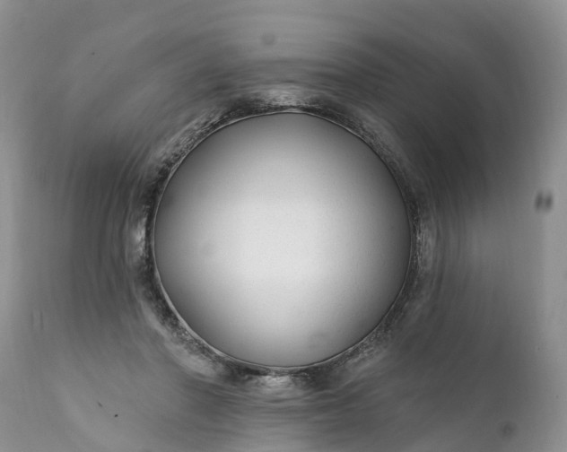 X0000111380406200907241314