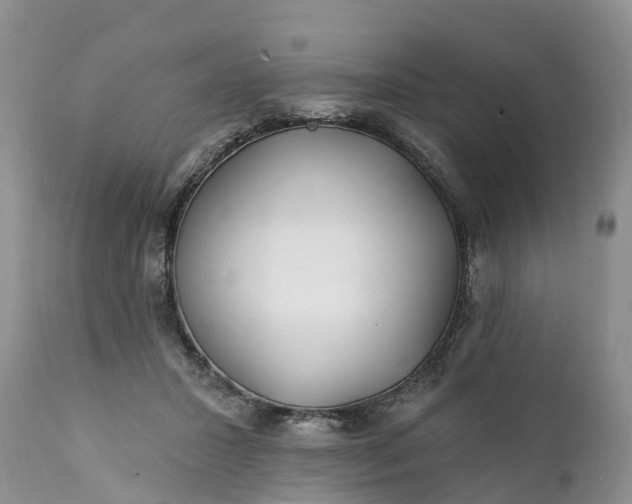 X0000111380407200907241314