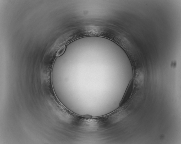 X0000111380409200907241314