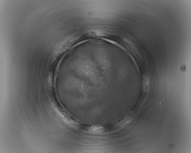 X0000111380410200907241314